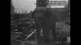 Topsy: Electrocuting an Elephant (1903) *new restoration* WARNING: Viewer Discretion - Thomas Edison