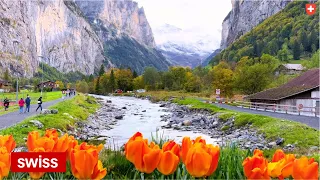 Lauterbrunnen Switzerland 🇨🇭 the Magical Valley of Rivers and Waterfalls | #swiss