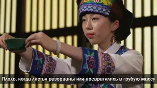 【Жизнь в Гуйчжоу】Как пьют чай в России и Китае: отличия и сходство