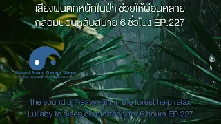 เสียงฝนตกหนักในป่า ช่วยให้ผ่อนคลาย กล่อมนอนหลับสบาย 6 ชั่วโมง EP.227 #เสียงฝนตกฟ้าร้อง#กล่อมนอน