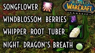 WoW Classic Guide - Whipper Root Tubers/Songflowers/WIndblossom Berries/Night Dragon's Breath