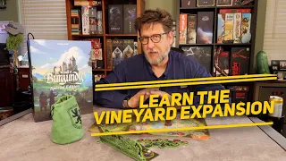 Vineyard Expansion : How To Play and Review for Castles of Burgundy