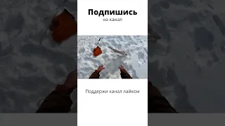 ВОТ ЭТО Я ПОНИМАЮ РЫБАЛКА #Shorts