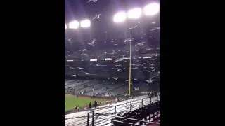 Seagulls at AT&T park after the game