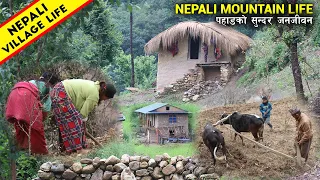 Very Beautiful Life in Nepali Mountain Village: Very Happy People and Life || IamSuman