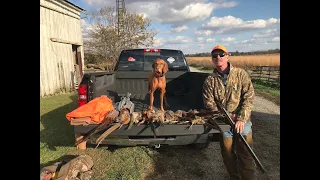 Ohio Pheasant Hunting 2019