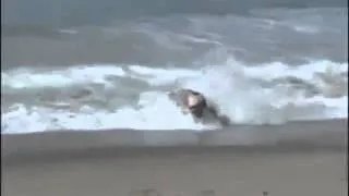 drunk guy attempts to surf big wave and dies