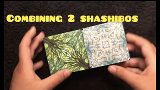 Combining 2 Shashibos