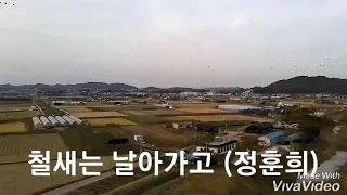 # 철새는 날아가고 노래 (정훈희 )