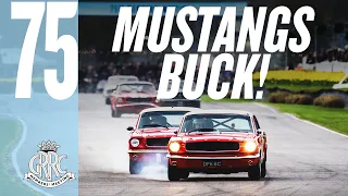 Mighty Mustang on Mustang track battle