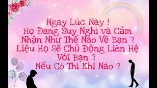 🔮Ngay Lúc Này! Suy Nghĩ, Cảm Xúc Họ Dành Cho Bạn Là Gì ?Khi Nào Họ Chủ Động Với Bạn ? *Chọn Tụ Bài*🔮