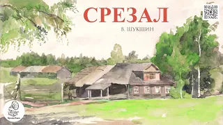 В. Шукшин "Срезал". Аудиокнига.