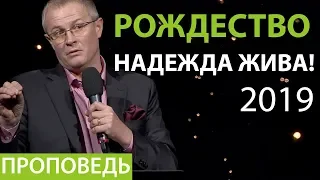 РОЖДЕСТВО - НАДЕЖДА ЖИВА! 2019 Александр Шевченко