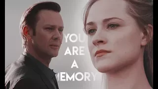 westworld ● you are a memory [ 2 x 2 ]