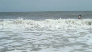 Fernandina Surf