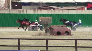 30.04.2022г Абакан Приз в честь работников сельского хозяйства для лошадей 3-х лет рыс. пород  1600