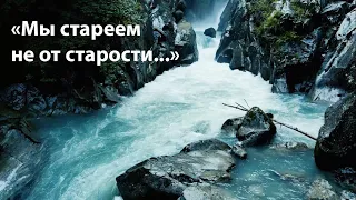 Александр Евтушенко "Мы стареем не от старости..."