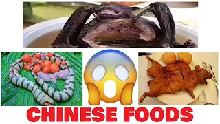 10 Unusual Foods Chinese Eat | Foods of China | Strange Chinese Food | Worst Foods of China