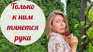 ЛЕТНИЕ АРОМАТЫ, КОТОРЫМИ ПОЛЬЗУЮСЬ ЧАЩЕ ВСЕГО