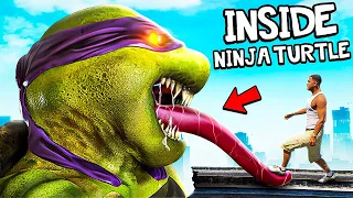 What's Inside NINJA TURTLES In GTA 5? (Mods)