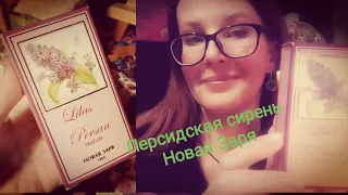 Персидская сирень Новая Заря Lilas Persan #новаязаря #парфюм #духи