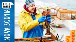 Sustainable LOBSTER Fishing in Nova Scotia | Bart van Olphen