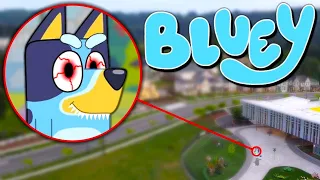 Drone Catches BLUEY HEELER From BLUEY IN REAL LIFE!! *BINGO, BANDIT & CHILLI*
