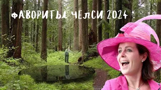 фавориты Челси 2024