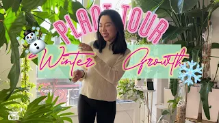 ❄️70+ Houseplant Tour | LONG Video!! | Winter updates 2023 | Hoyas | Philodendron | Monstera | Ferns