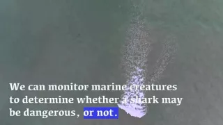 Drone Trials Detect Sharks