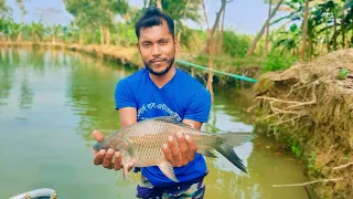 fish blogging Bangla.পুকুরে কিভাবে মাছ চাষিরা মাছ ছাড়ে 🐟