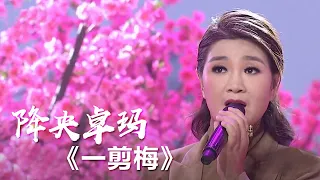 降央卓玛竟这样翻唱费玉清《一剪梅》一开口就惊艳了！[影视金曲] | 中国音乐电视 Music TV