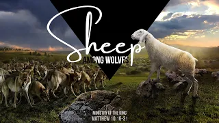 Matthew 10:15-31 - Sheep among wolves [with slides]