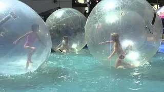 hamster ball trailer