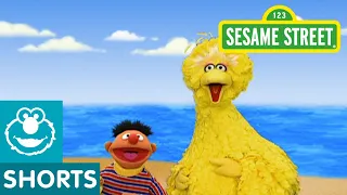 Sesame Street: Journey to Ernie: Beach