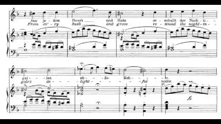 13 & 14.- On mighty pens uplifter (The Creation - J. Haydn) Score Animation