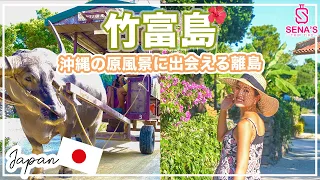 【石垣島に来たら外せない！】竹富島を日帰り観光　王道を全部紹介！水牛車・ビーチ・集落・カフェ