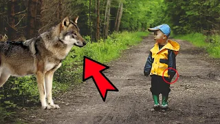 The stepfather left his stepson in the forest and left. A she-wolf found him and did this to him...