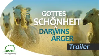 GOTTES SCHÖNHEIT & DARWINS ÄRGER - Offizieller Trailer - deutsch