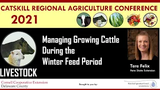 Managing Growing Cattle During the Winter Feed Period