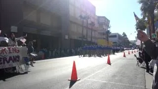 Veteran's Day Parade at Freemont Las Vegas 111114