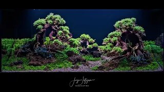 Bonsai Tree Aquascape Tutorial with Adrie Baumann