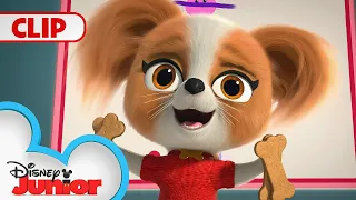 Chef Puppy Paw's Doggie Treats! 🍭 | Doggie Treats Only Music Video 🎶 | SuperKitties | @disneyjunior​