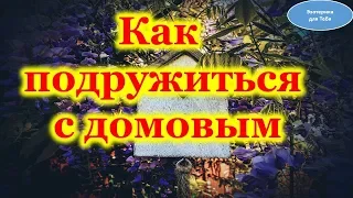 Как подружиться с домовым . Как кормить , задобрить