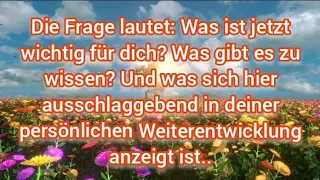 Deine Ahnen und Vorfahren stehen hinter dir und feuern dich an 🏁🔥 #channeling #orakel #seelenpartner