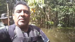 CIGS/2019: Vídeo 02 - MARCHA DA SAUDADE. TRECHO DE VOADEIRA PELO IGARAPÉ BRANQUINHO