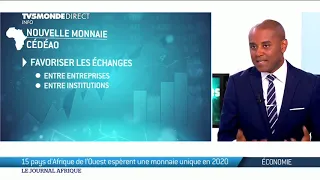 Afrique de l'Ouest : vers une monnaie unique ?