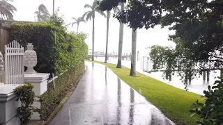 Walking in Heavy Rain - Palm Beach,  Florida - 4K ASMR