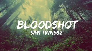 Sam Tinnesz - Bloodshot (Lyrics) (QHD)