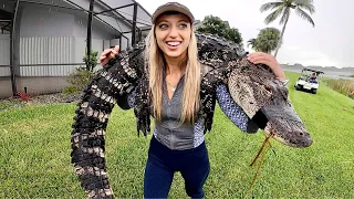 HOW TO Catch, CLEAN and Cook an ALLIGATOR (EMERGENCY NUISANCE GATOR)